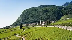 Yvorne village