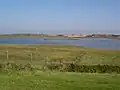 The Zwin nature reserve