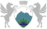 Flag of Žabljak