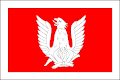 Flag of Zabrušany
