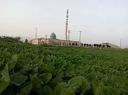 A towering white minaret and an ornate cyan dome mark a mosque surrounded by power lines and vegetation.