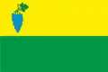 Flag of Zarozhany