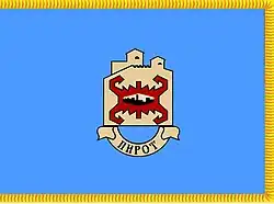 Flag of Pirot