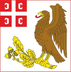 Flag of Kragujevac