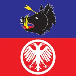 Flag of Velika Plana