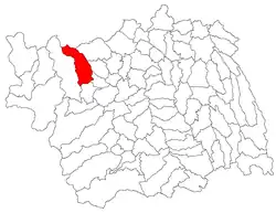 Location in Bacău County