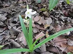 Habit