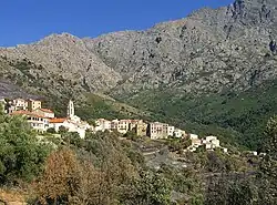 A general view of Zilia