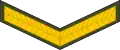 Lance corporal (Lesotho Army)[47]