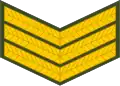 Sergeant (Lesotho Army)[81]