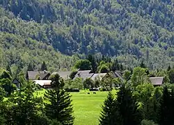 Žlan