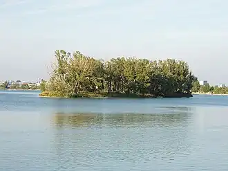 A calm lake reflecting a clear sky with distant trees