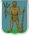 Coat of arms of Žehušice