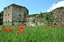 Remains of the 16th–17th century Zolotyi Potik Castle