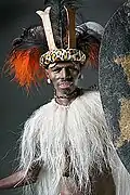 Zulu Warrior