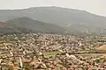Zygos