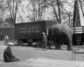 "Nellie" captive elephant from Johnny J. Jones Exposition Show on 22 April 1925