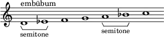 \new Staff \with { \consists Horizontal_bracket_engraver \remove "Time_signature_engraver" \remove "Bar_engraver" }
\relative c' {
d1^"embūbum" -\tweak HorizontalBracketText.text "semitone" \startGroup es\stopGroup f g a-\tweak HorizontalBracketText.text "semitone"\startGroup bes\stopGroup c }