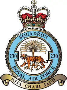 Squadron badge