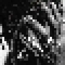 The 10th anniversary edition pixelates the whole image.