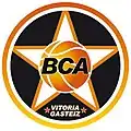 Alternative logo