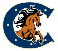 Augusta Colts logo