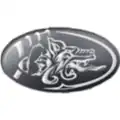 Badalona Dracs logo