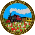 Official seal of Bald Knob, Arkansas