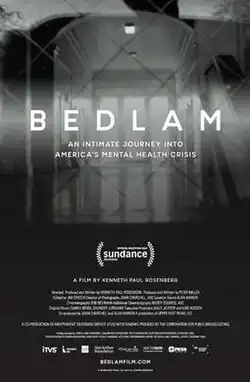 BEDLAM documentary film poster
