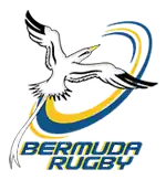 Shirt badge/Association crest