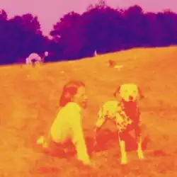 A photo of a little girl sitting on the ground outside in a farm paddock with a Dalmatian dog. The girl, the dog and the ground are orange in color while the trees and sky in the background are purple.