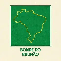 An image of the Brazilian country with its borders in yellow and the background in green