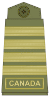 Olive green uniform (old insignia)