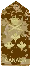 Arid-region CADPAT uniform