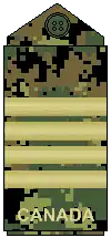 CADPAT uniform (old insignia)