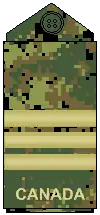 CADPAT uniform (old insignia)