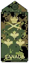 CADPAT uniform