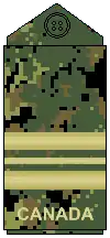 CADPAT uniform (old insignia)