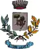 Coat of arms of Cerro Tanaro