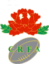 Shirt badge/Association crest