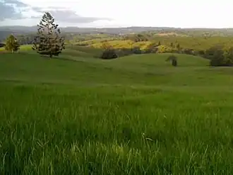 A view from James Gibson Road, Clunes, 2008