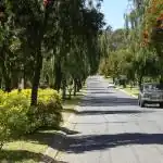 Banksia Park streetscape