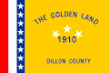 Flag of Dillon County, South Carolina