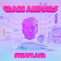 A neon-colored digital image of a glasses-wearing man's giant floating head in the middle of a room filled with assorted objects.