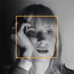 A close-up picture of Hayley Williams with a yellow square around her face.