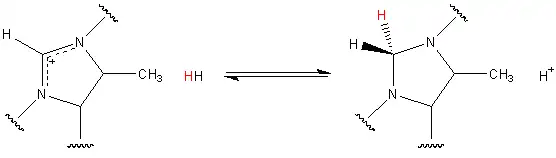 Hmd Catalyzed Reaction