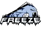 Erie Freeze logo