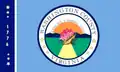 Flag of Washington County, Virginia