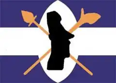 Secondary logo