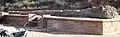 A 50-foot fossil log from the Morrison Formation.